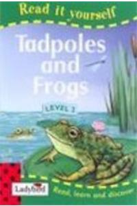 Tadpoles And Frogs