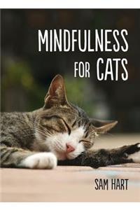 Mindfulness for Cats