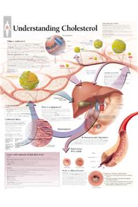 Understanding Cholesterol Chart