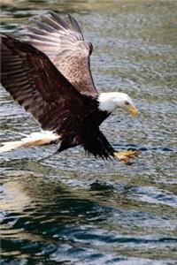 Bald Eagle Catching a Fish Journal