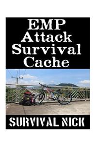 EMP Attack Survival Cache