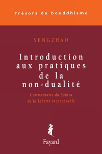 Introduction aux pratiques de la non-dualité