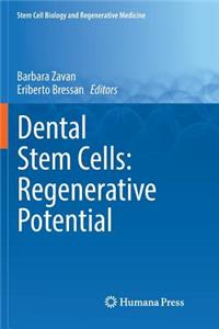 Dental Stem Cells: Regenerative Potential