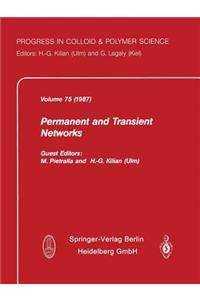 Permanent and Transient Networks