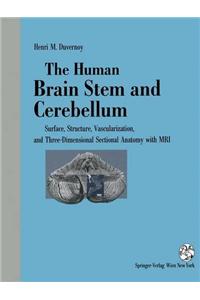 The Human Brain Stem and Cerebellum
