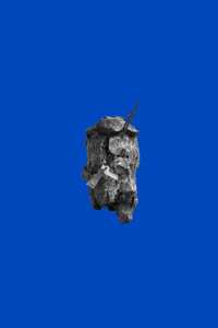 Catherine Biocca - Bonsai Feeling: Bonsai Feeling