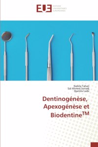 Dentinogénèse, Apexogénèse et BiodentineTM