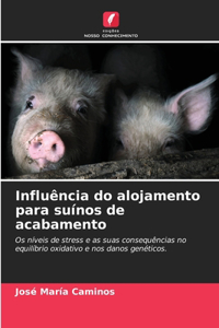 Influência do alojamento para suínos de acabamento