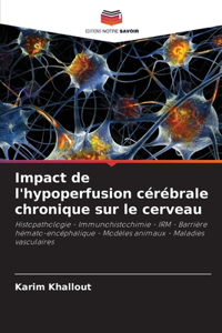 Impact de l'hypoperfusion cérébrale chronique sur le cerveau