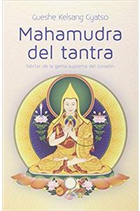 Mahamudra del Tantra (Mahamudra Tantra): Una Introduccion a la Meditacion En El Tantra