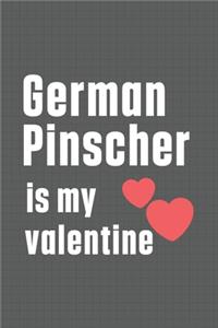 German Pinscher is my valentine