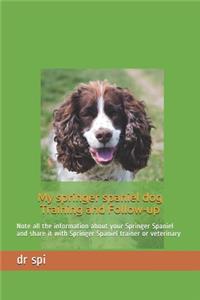 My springer spaniel dog Training and Follow-up