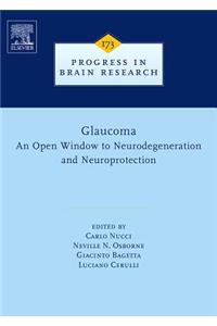 Glaucoma: An Open-Window to Neurodegeneration and Neuroprotection