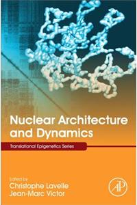 Nuclear Architecture and Dynamics