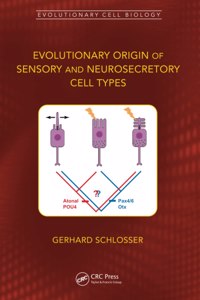 Evolutionary Origin of Sensory and Neurosecretory Cell Types