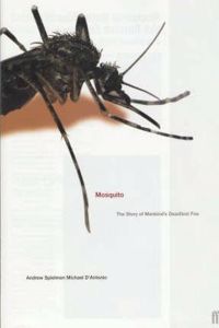 Mosquito