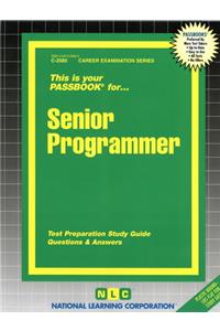 Senior Programmer
