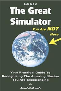 The Great Simulator
