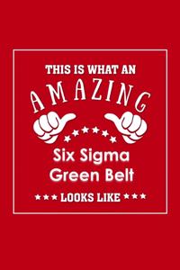 This is What an Amazing Six Sigma Green Belt Look Like