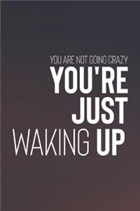 You Are Not Going Crazy You Re Just Waking Up