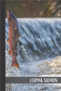 Leaping Salmon