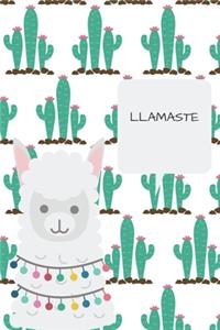 Llamaste: 6 X 9 Daily Planner 120 Pages Trainers, Students, Teachers