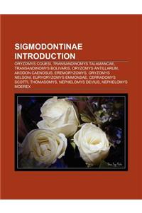 Sigmodontinae Introduction
