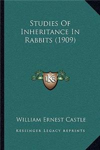 Studies Of Inheritance In Rabbits (1909)