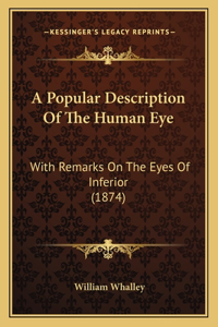 Popular Description Of The Human Eye