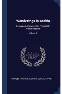 Wanderings in Arabia