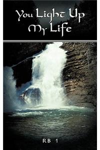 You Light Up My Life