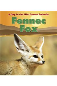 Fennec Fox