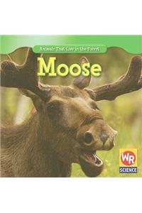 Moose