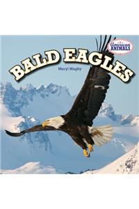 Bald Eagles