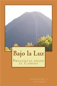 Bajo la Luz