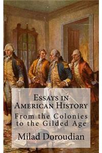 Essays in American History