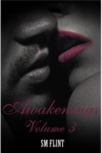 Awakenings - Volume 3