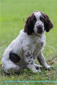 English Springer Spaniel Affirmations Workbook English Springer Spaniel Presents: Positive and Loving Affirmations Workbook. Includes: Mentoring Questions, Guidance, Supporting You.
