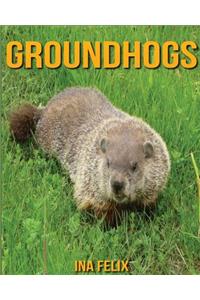 Groundhogs