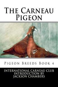 Carneau Pigeon