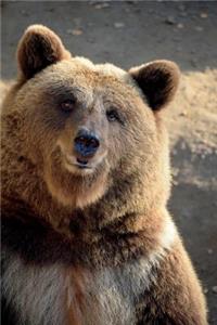 Standing Brown Bear Checking You Out Journal