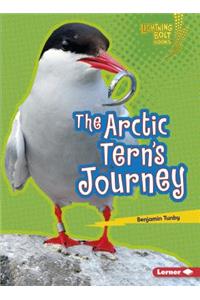 The Arctic Tern's Journey