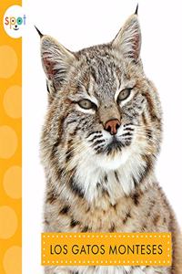 Los Gatos Monteses