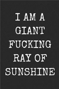 I Am A Giant Fucking Ray Of Sunshine