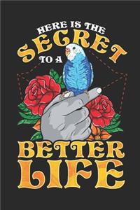 Here is a Secret to a Better Life