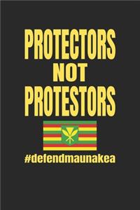 Protectors Not Protestors #defendmaunakea