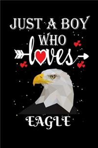 Just a Boy Who Loves Eagle