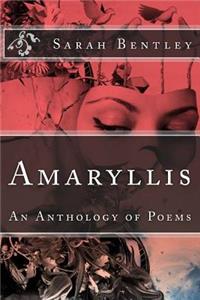 Amaryllis