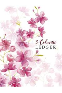 3 Column Ledger