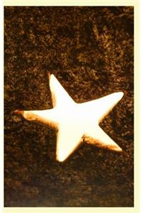 Luminescent Starfish